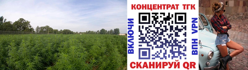 где можно купить наркотик  Нея  ТГК концентрат 